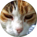 Avatar de Antonin.h