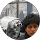 Alejandro Estevez profile picture