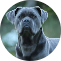 Avatar de l'honoré.r