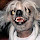 iaml...@gmail.com's profile photo