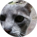 Avatar de Cg.t