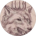 User profile - Steve S.