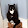 jacques cartier's profile photo