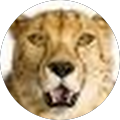 User profile - Jason Burnett.