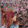 Raquel G. Alhama's profile photo