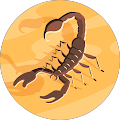 Avatar de zizou.e