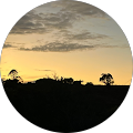 Roger Loughnan Real Estate - Mapleton, QLD