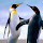 dohn...@gmail.com's profile photo
