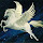 pegasu...@gmail.com's profile photo