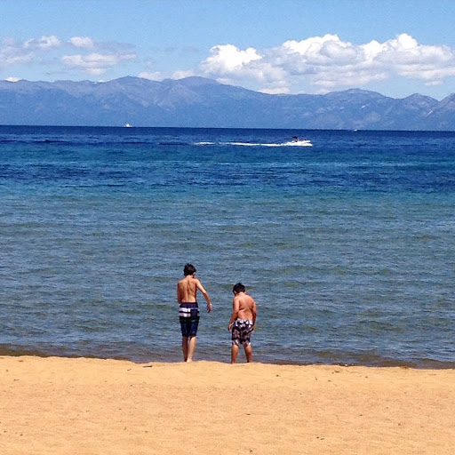 Reviews East Bay Oriental Rug Cleaning