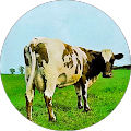 Avatar de Stéphane.a