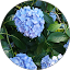 瑠依