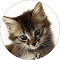 Avatar de michel.e