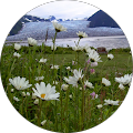 Winford Homecrafters - 