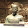Maxime Biais's profile photo