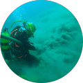 Avatar de Sylvain.a