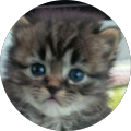 Avatar de Ethan.o