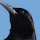 DATAKOLL MARINE RESEARCH's profile photo