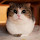 Nabila Azmi's profile photo