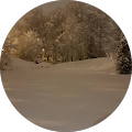 TRIO Personalconsulting GmbH - Wil
