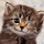 arkh...@gmail.com's profile photo