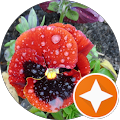 Tiertherapie Berlin · Tierphysiotherapie & Tiergesundheit - Berlin