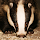 DevoutBadger's profile photo