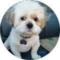 User profile - Mark Boesen.