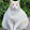 wim blom's profile photo