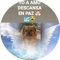 ayrob kil gonzalez