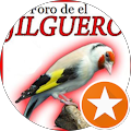 Bodega Indalo - Roquetas de Mar, Almería