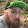 Dillon Shaffer's profile photo