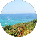 Coast 360 Digital Marketing - Newquay