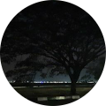 Unschool - Hyderabad, Telangana