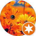 Avatar de france.e