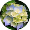 Avatar de Laetitia.e