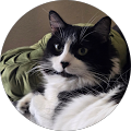 User profile - Mixtly Barnett.