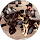 Daniel Dellinger profile picture