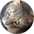 Avatar de Camille.A