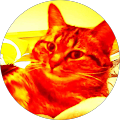 Avatar de Calixte.