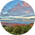 Fairfield Inn & Suites Phoenix Midtown - Phoenix, Arizona