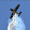 aerobatics...@gmail.com's profile photo