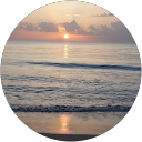 S Koster's profile image
