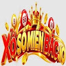 Xổ Số Miền Bắc