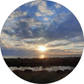 Avatar de Frédérique.E
