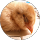 Community member