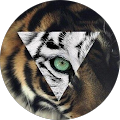 Avatar de Looka.