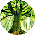Avatar de Luc.