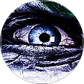 Avatar de Aurelien.e