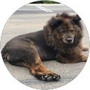 Theresa Rowell's profile image